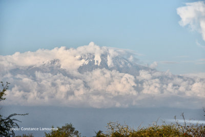 Kilimadjaro