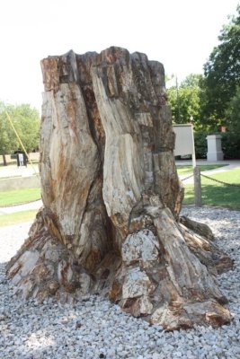 IMG_5200.jpg