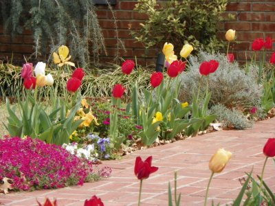 3-30-11 007.jpg