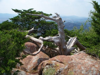 9-20-08 004.jpg