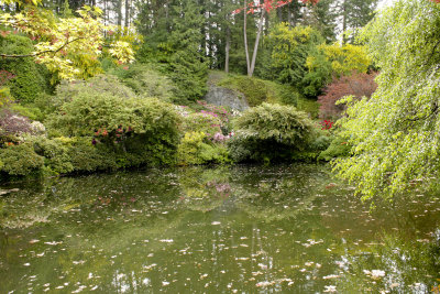 IMG_6924_3114 4x6.jpg