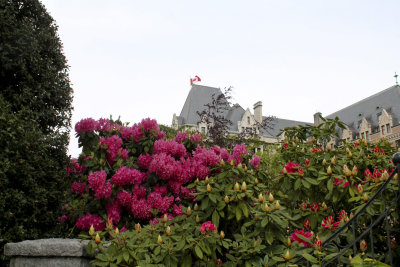 IMG_7205_3394 4x6.jpg
