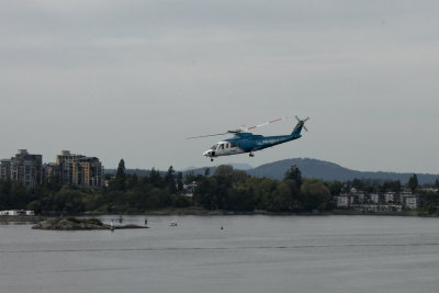 IMG_7373_3561.jpg