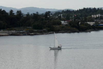 IMG_7388_3577.jpg