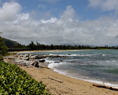 IMG_6072_4403 8x10.jpg