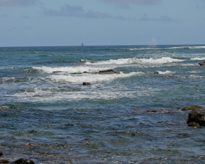 IMG_6083_4414 8x10.jpg