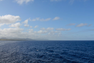 IMG_6234_4565 4x6.jpg