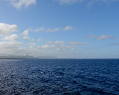 IMG_6234_4565 8x10.jpg