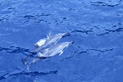 IMG_6292_4171 4x6.jpg