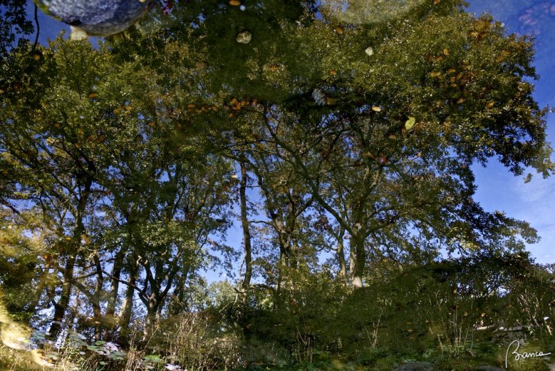 Parco di Sigurta