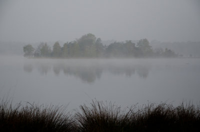 Kalmthoutse Heide Stappersven