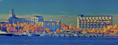 newWaterfront at St PetersburgFlorida in Infrared.jpg