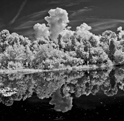 D70 A10 CLOUDS IN REFLECTION.jpg