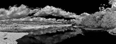 awesome clouds of myakka park fb.jpg