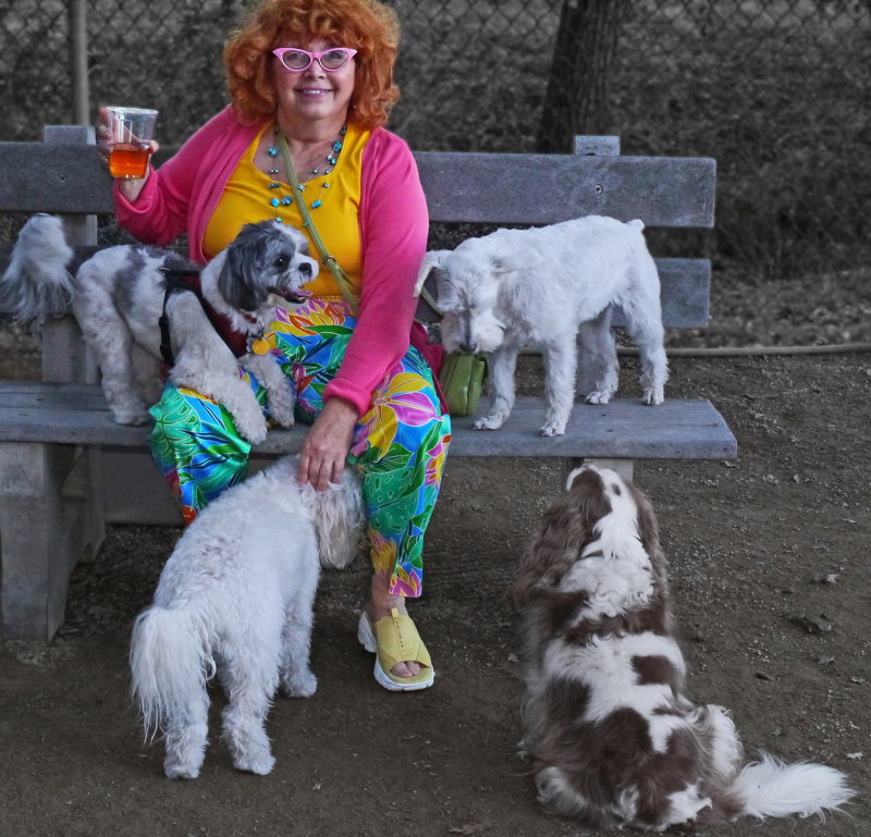 Colorful Lady at the Dog Park