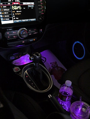 'V'  Violet Vehicle Interior Light Kit - 300 Miles