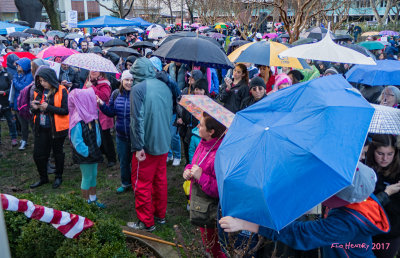 Women's March Crowd CP_umbrellas sig resized.jpg