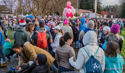 Women's March Crowd CP_balloons sig resized.jpg