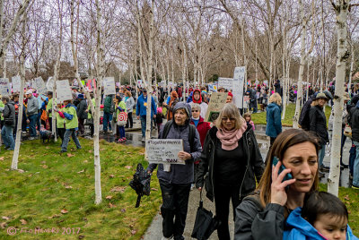 Women's March leaving Civic Park.jpg