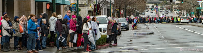 Women's March 2 paralel blocks walkers resized.jpg