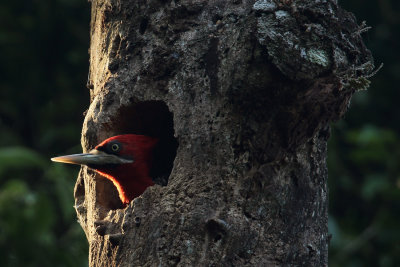 female looking out