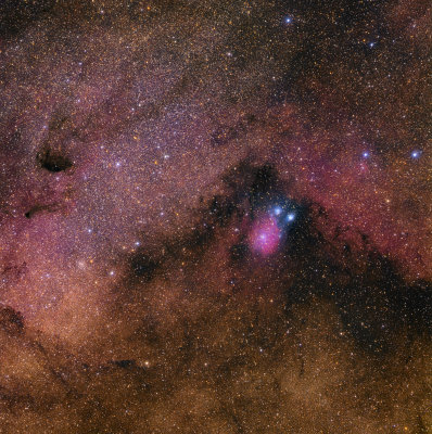 NGC6589 - Wild-field