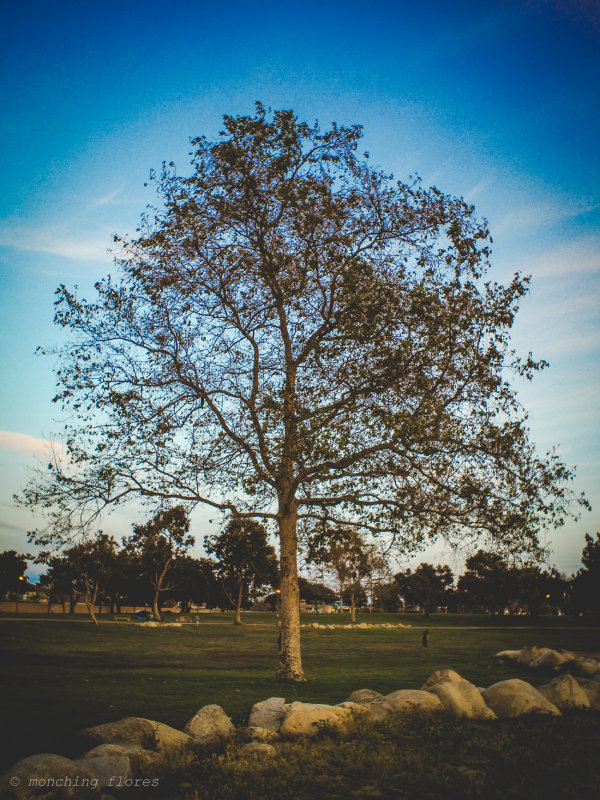 g9/57/932657/2/155217946.U7Se5VPt.jpg