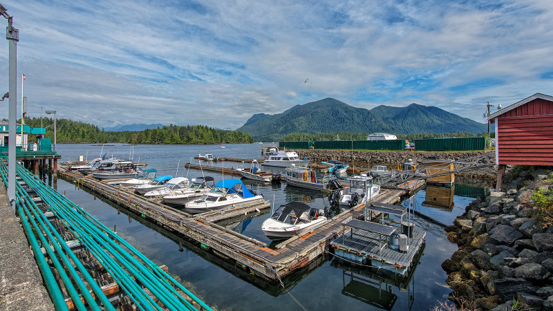 Tofino