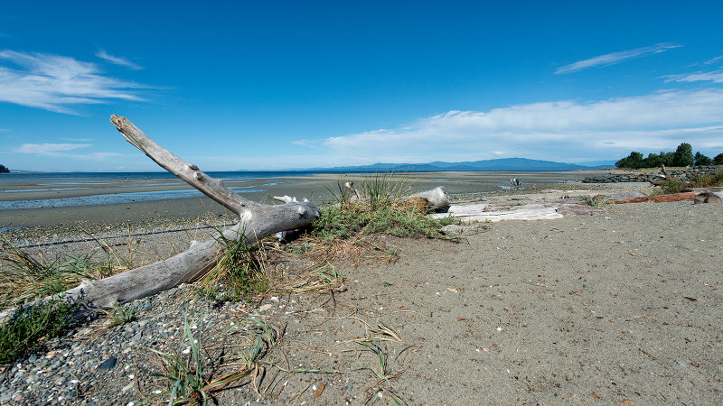 Low Tide
