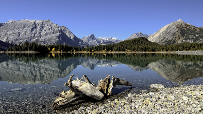 Still Waters