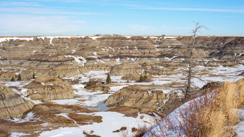 Horseshoe Canyon