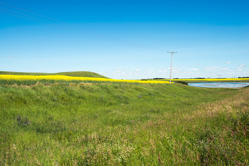 Pole Position -Prairie Colors 