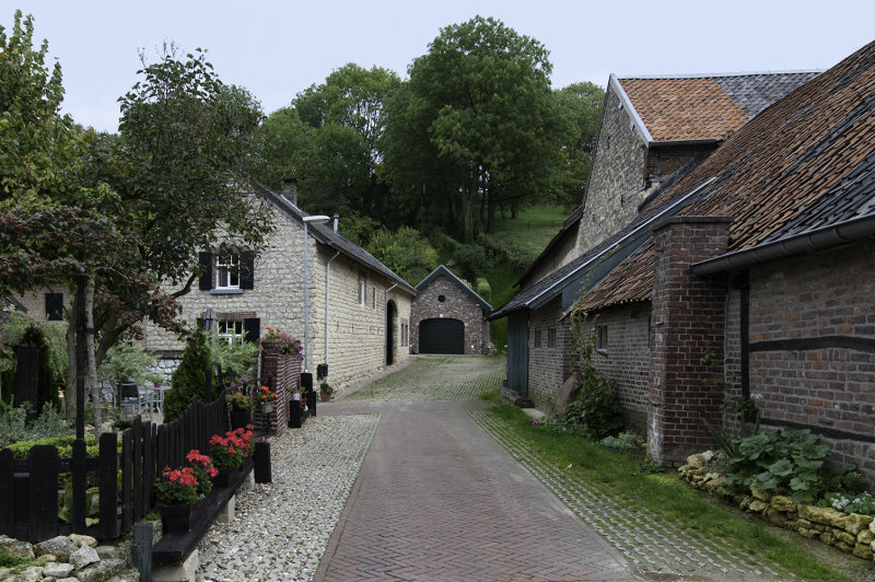 Typical South Limburg Scene