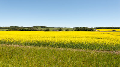 Country Road