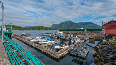 Tofino