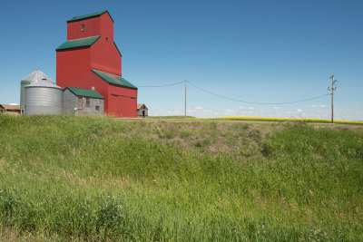 Color On The Prairies