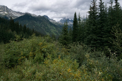 Cloudy Day Near Rogers Pass