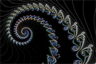 French Curve
