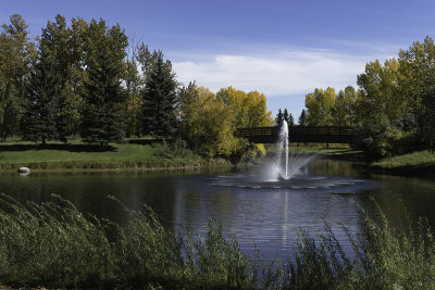 Bower Ponds, Fall 2016