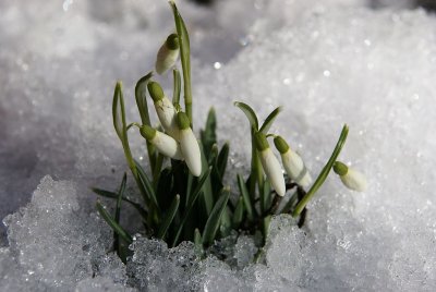 06.03.2013