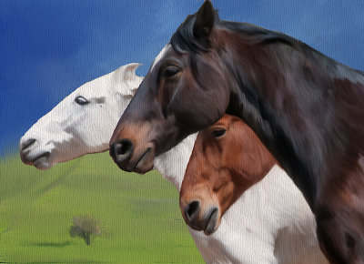 3 horses-sm.jpg