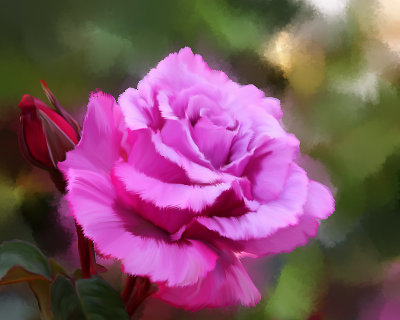 pink rose big-sm.jpg