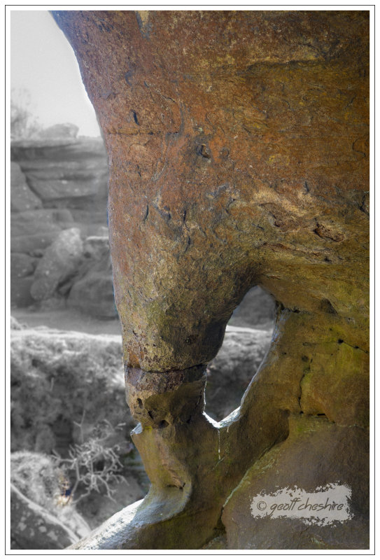 Brimham Rocks, North Yorkshire