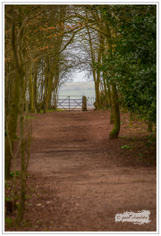 Conishead Priory (28)