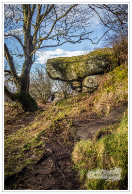 Brimham Rocks, North Yorkshire