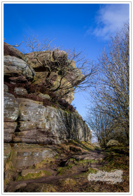 Brimham Rocks, North Yorkshire