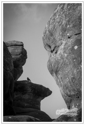 Brimham Rocks, North Yorkshire