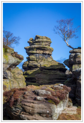 Brimham Rocks, North Yorkshire