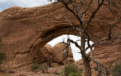 Arches7.jpg