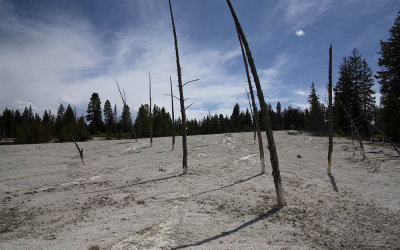YellowStoneLakeEdge.jpg